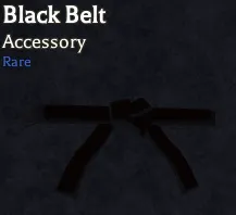 Black Belt rare accessory in Bizarre Lineage