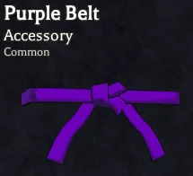 Purple Belt accessory in Bizarre Lineage